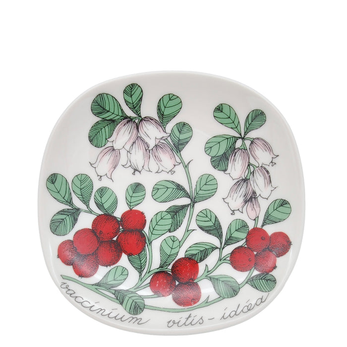 Arabia Botanica Vaccinium Vitis-Idaea Plate, vintage